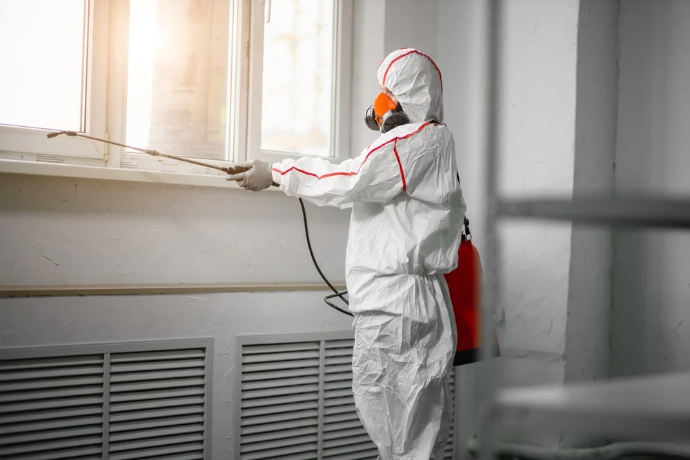 Professional mold remediation services in Yankeetown, FL